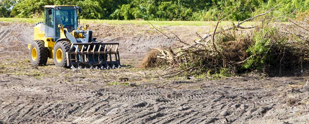 Land Clearing in Western New York