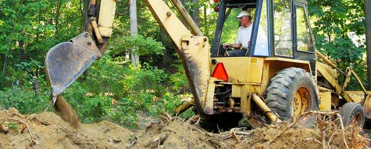 Tree Stump Removal