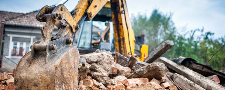 Tree Stump Removal